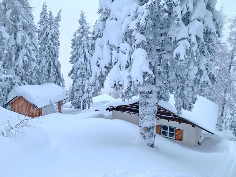 In - Out Am Hauser Kaibling Chalet *